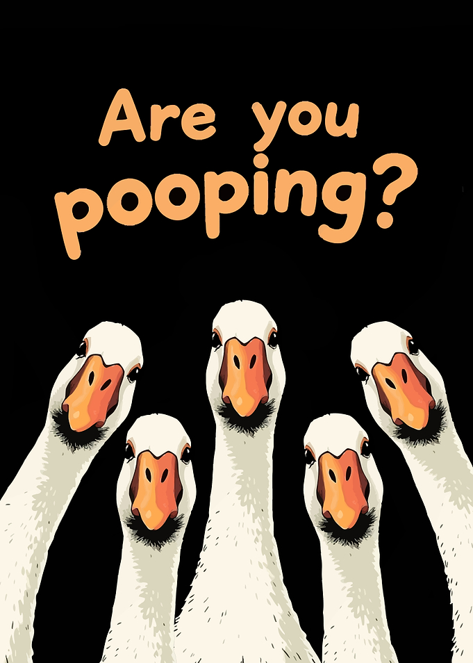 Goose Pooping Funny