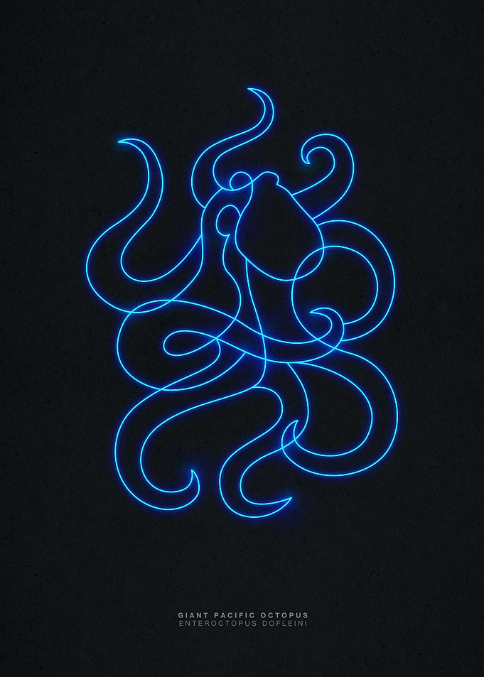 Neon giant pacific octopus