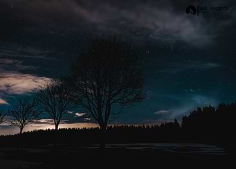 Night Sky with Silhouetted Trees