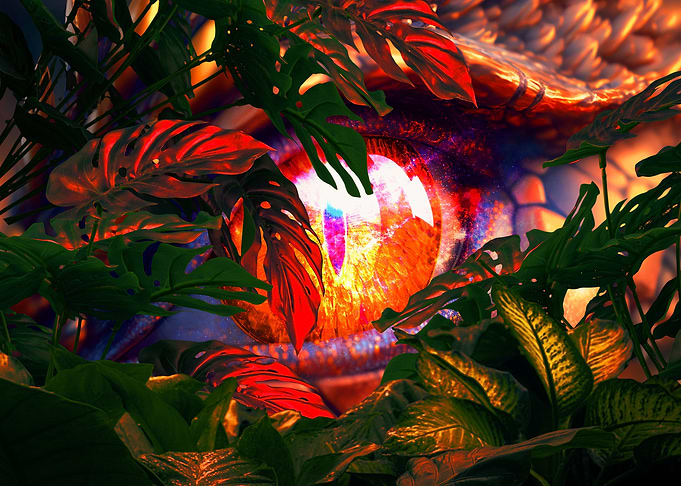 Dragon Eye in Jungle