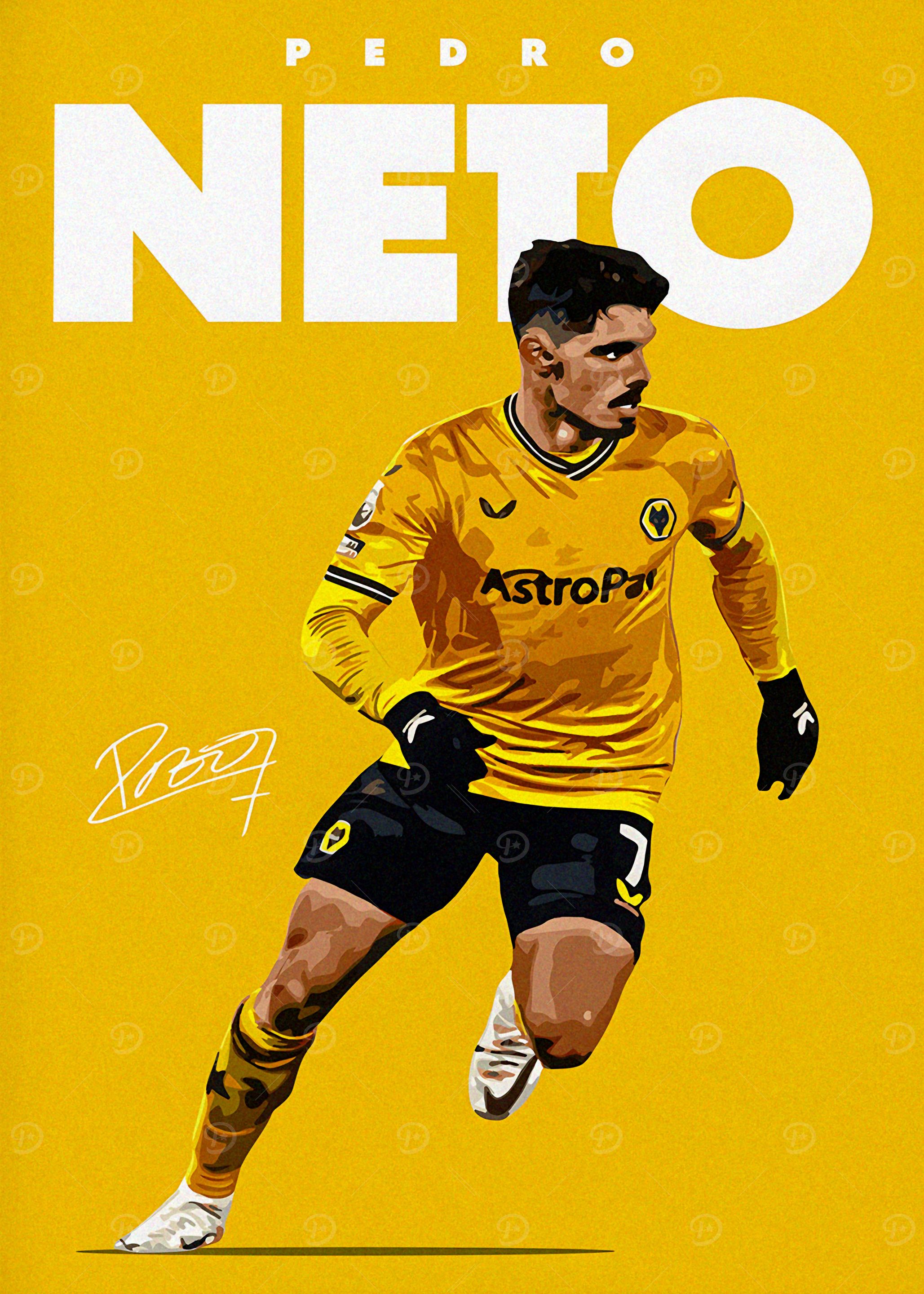 Pedro Neto