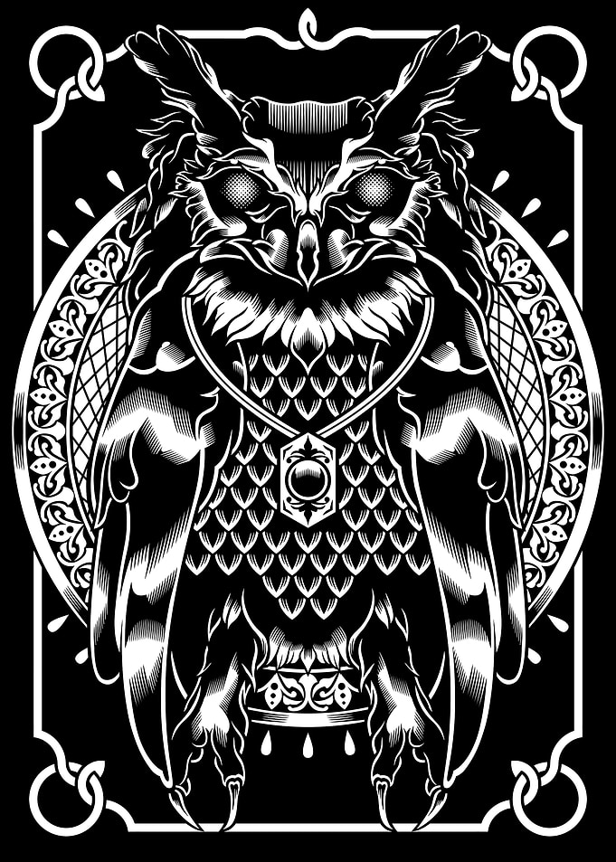 Owl with Ornate Frame