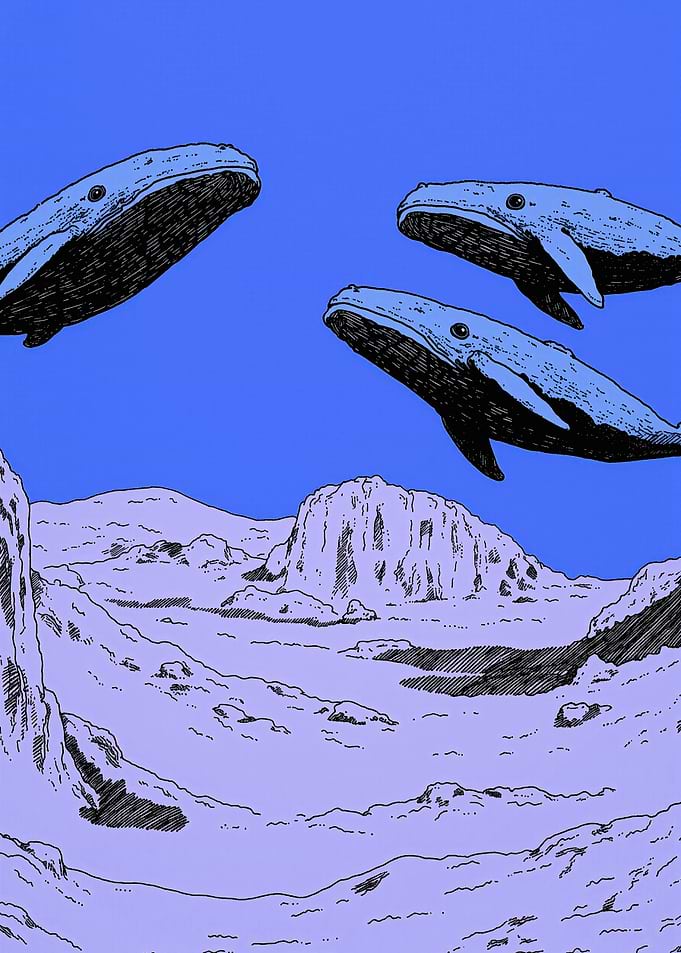Surreal Whales
