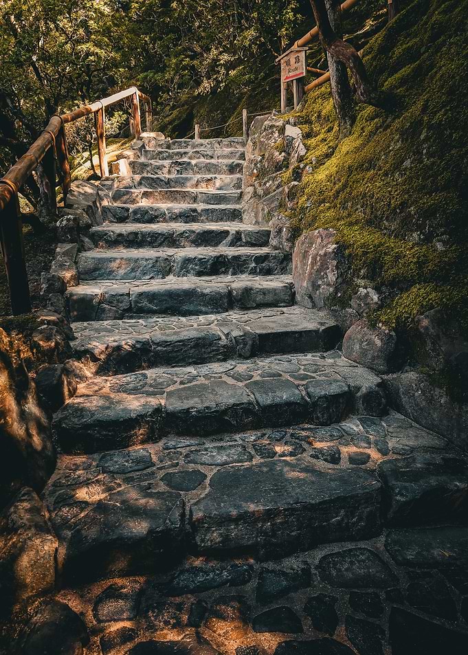 Stone Steps in Forest