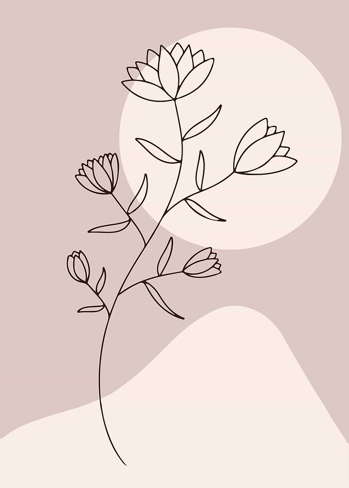Minimalist Flower Line Art