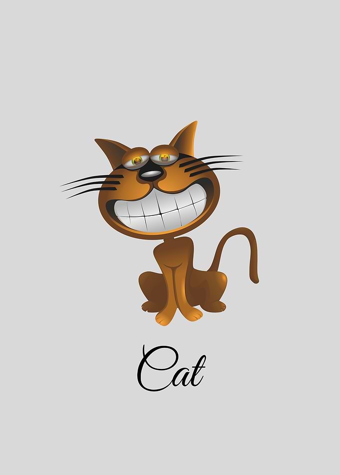 Smiling Cartoon Cat