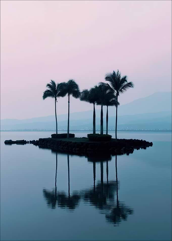 Tranquil Palm Island
