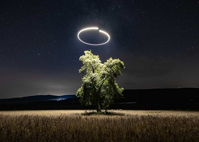 Holy Tree