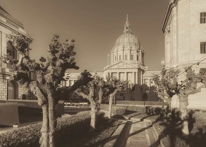 San Francisco City Hall Garden