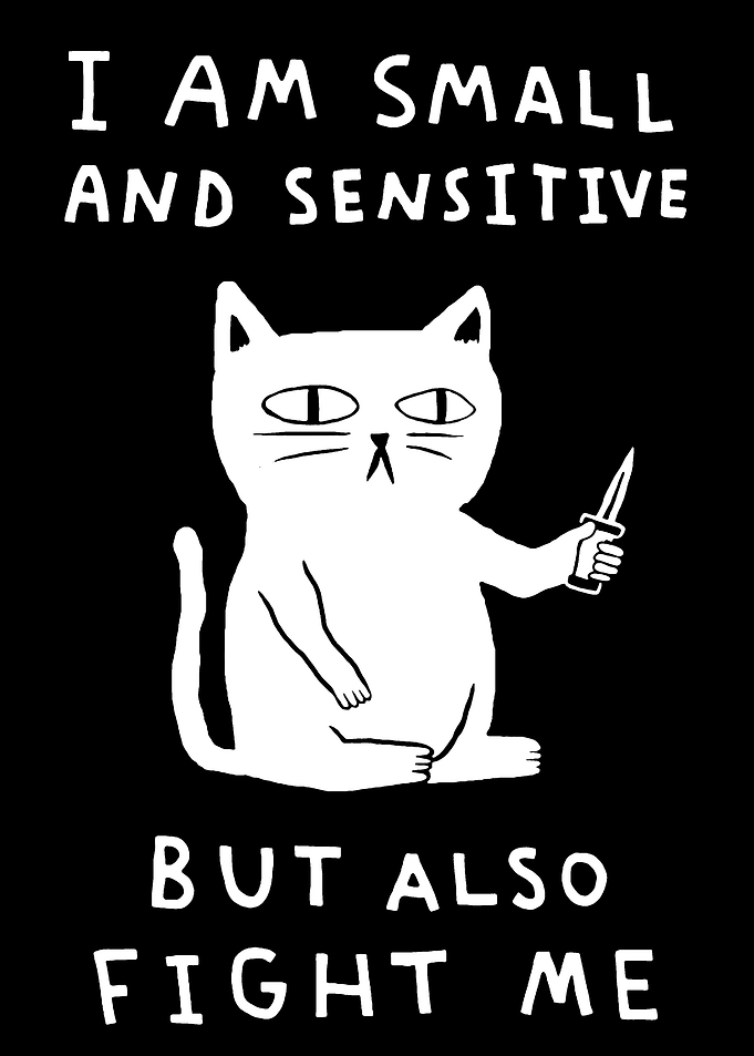 Small & Sensitive Cat
