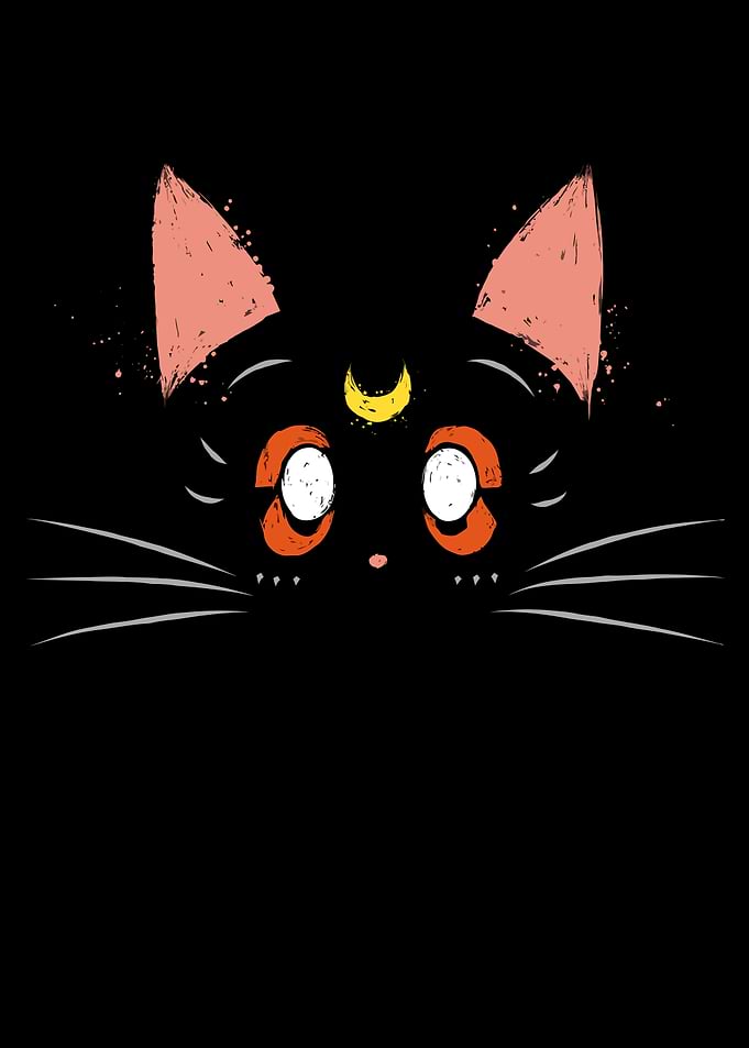 Black Cat with Crescent Moon