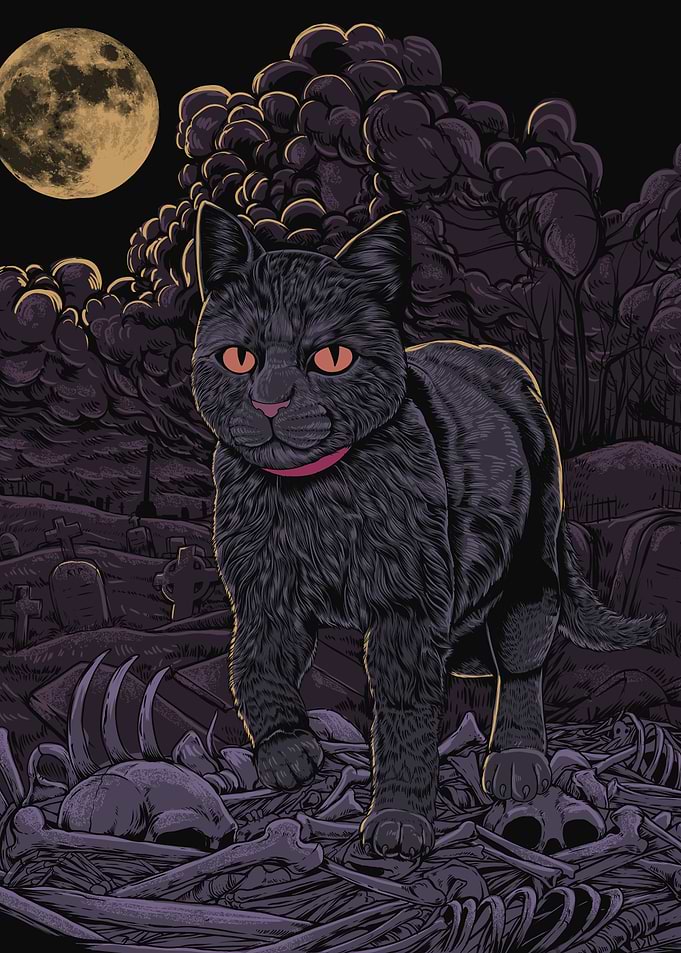 Black Cat in Graveyard