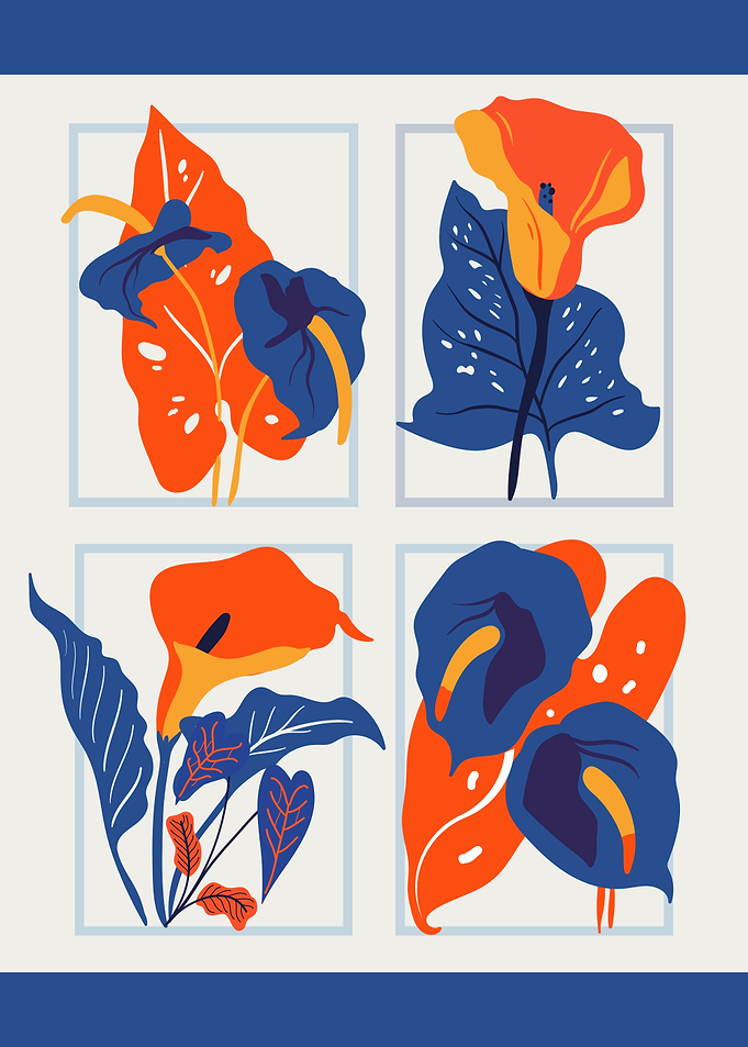 Floral Illustration Set - Retro Calla Lily