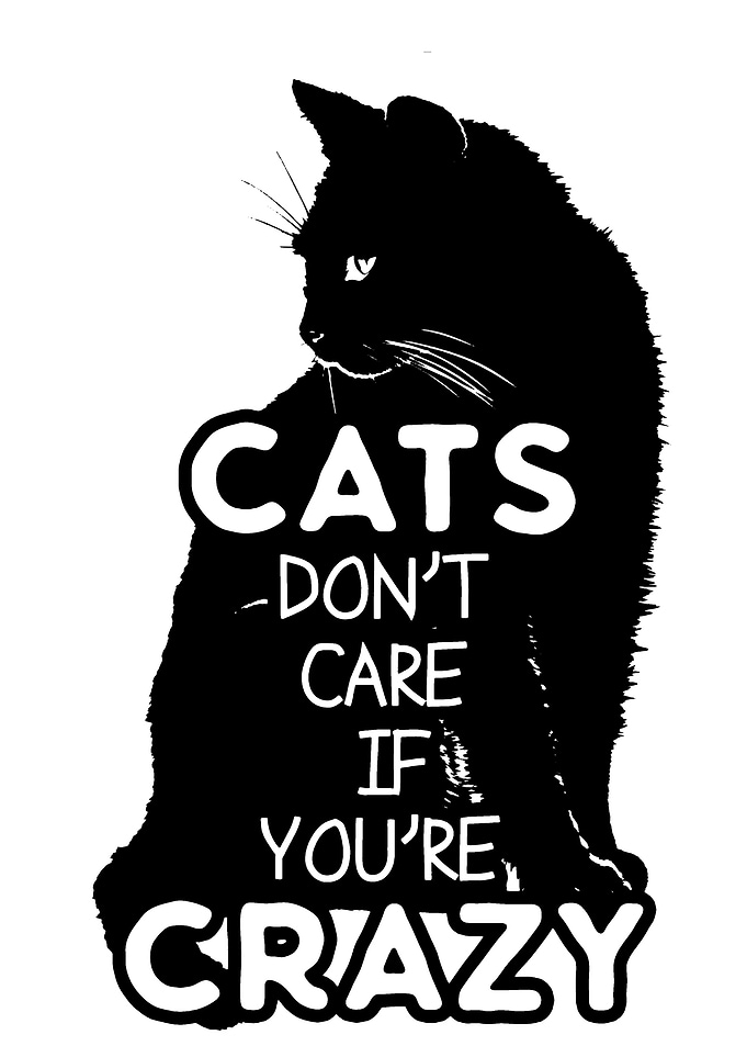 Cats Don't Care If You're Crazy