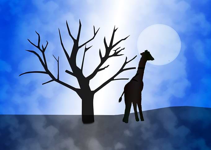 Giraffe Silhouette1