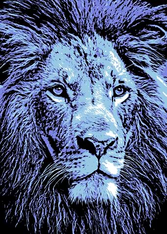 Blue Lion Portrait
