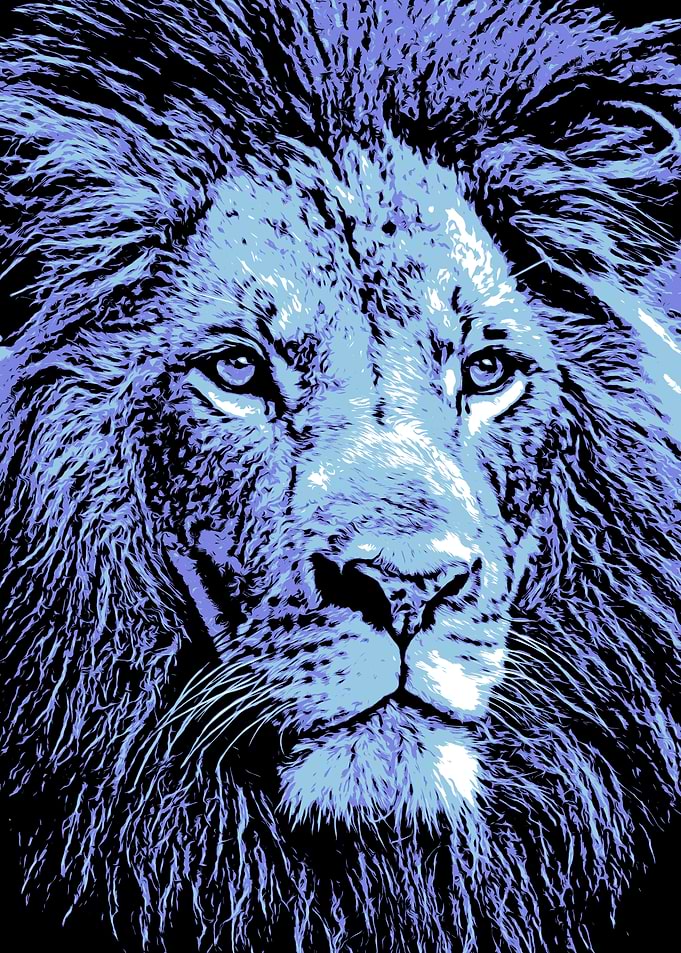 Blue Lion Portrait