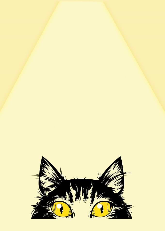Cat Peeking