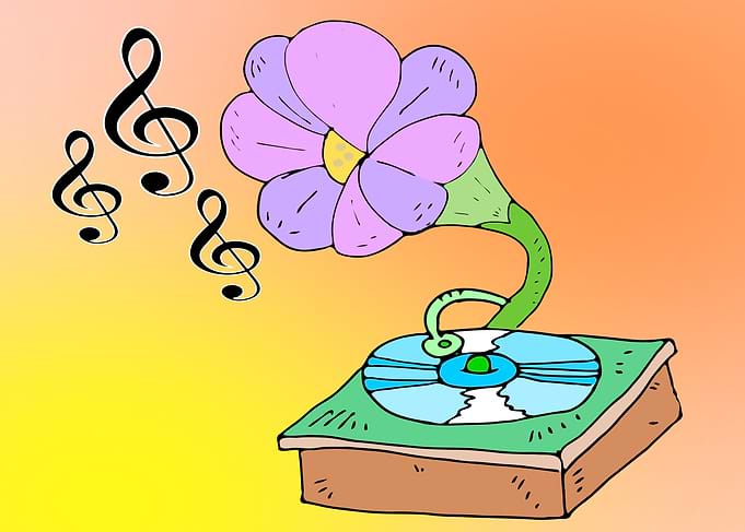 Musical Flower Record Player Phonograph