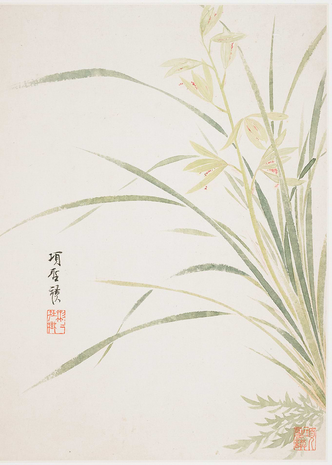 Japanese Orchid Painting