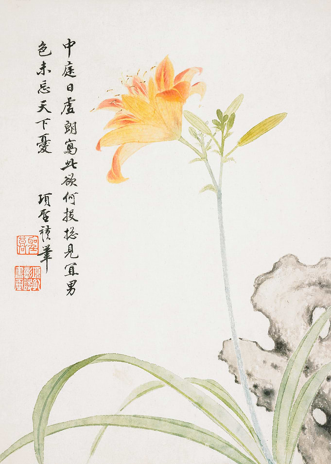 Chinese Day Lily