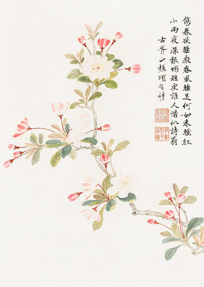 Crab Apple Blossom
