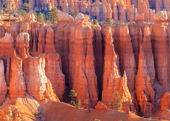 Bryce Canyon Hoodoos