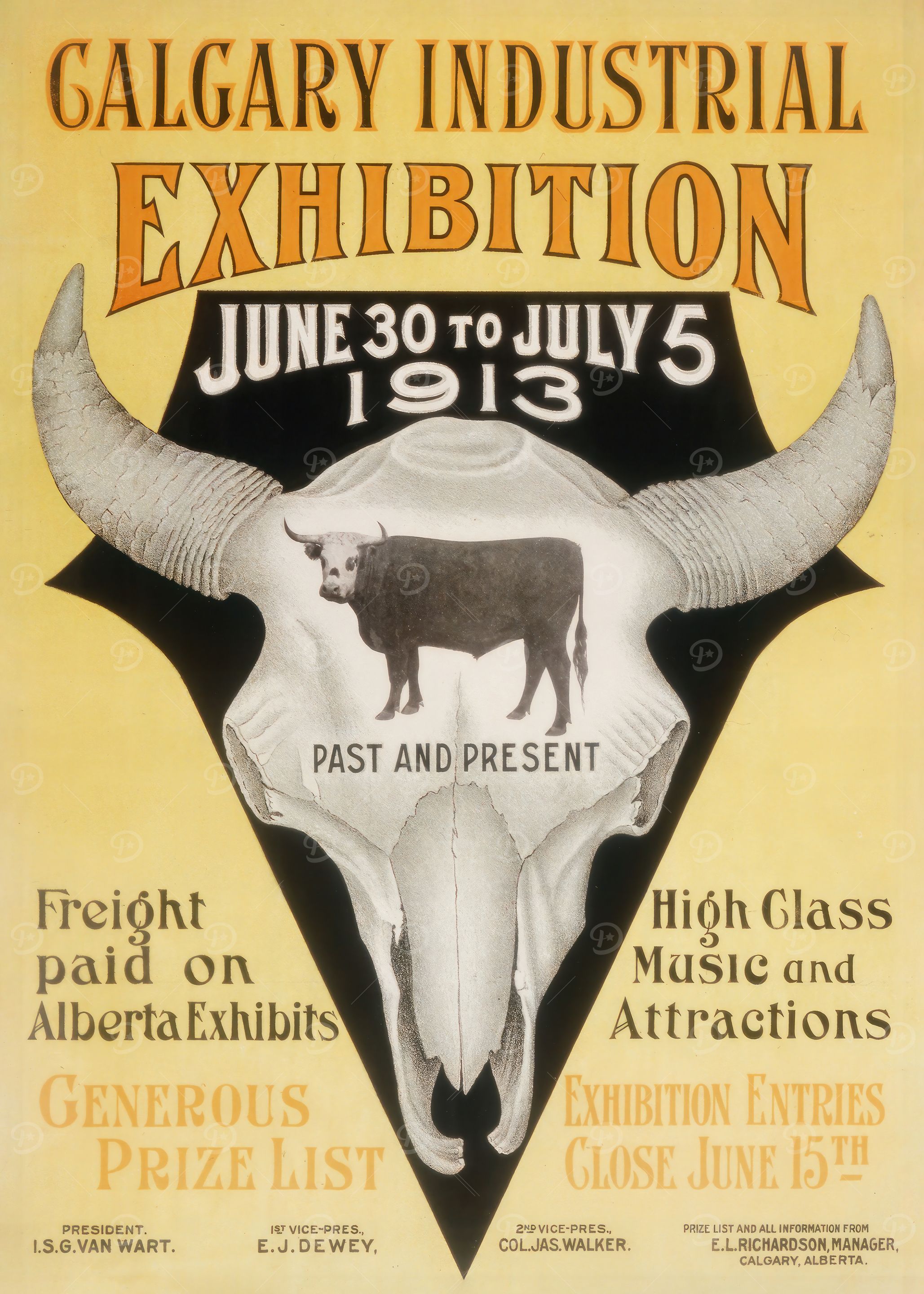 Calgary Stampede Rodeo 1913