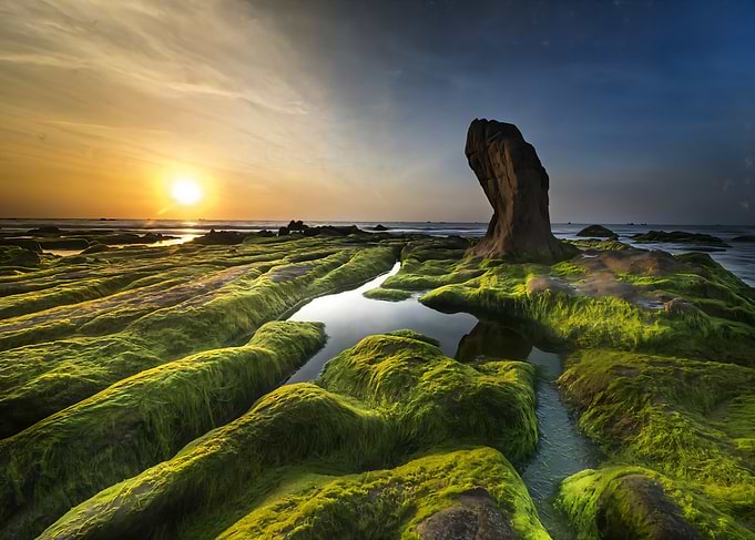 Sunset Coastline with Moss