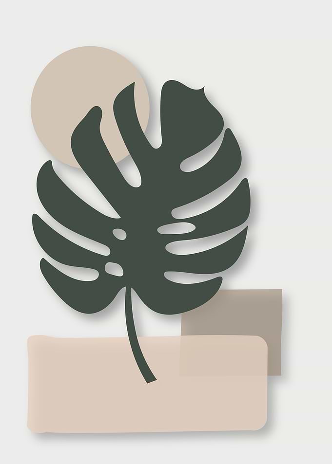Tropical Leaf