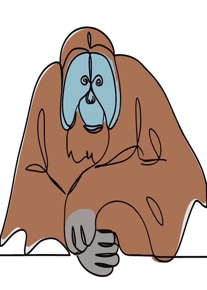 Orangutan Line Art