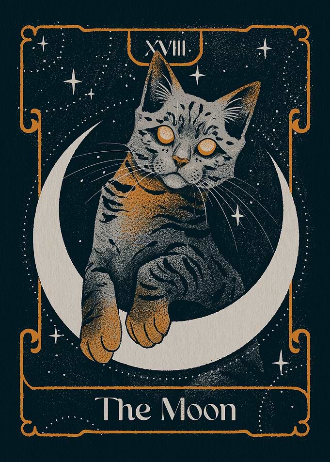 The Moon