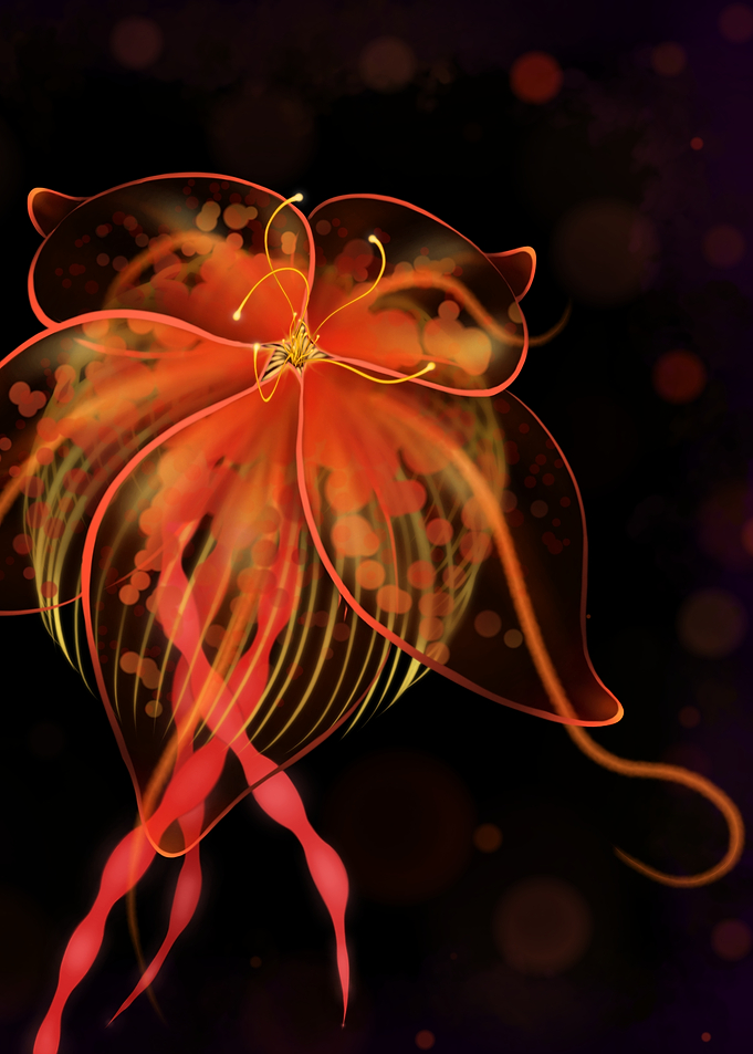 Lotus Jellyfish