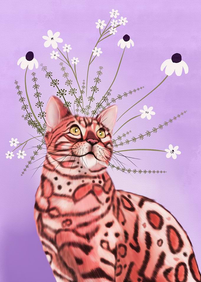 Regal Floral Bengal