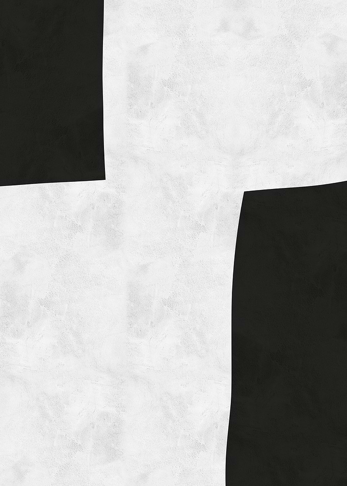Abstract Black and White Art