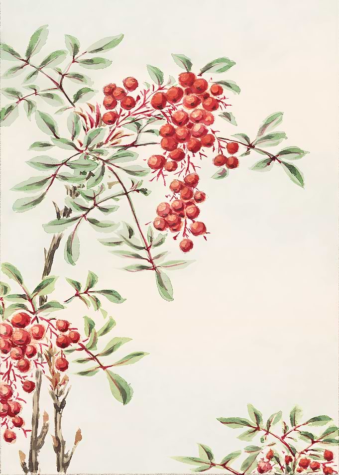 Watercolor Berries Branch