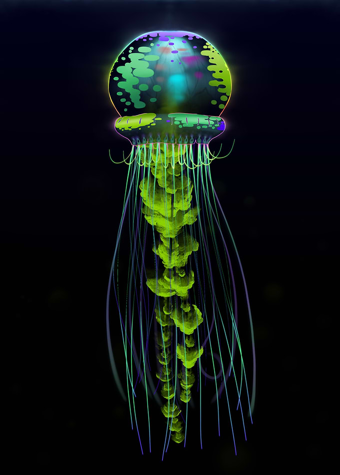 Greater Jellyfish