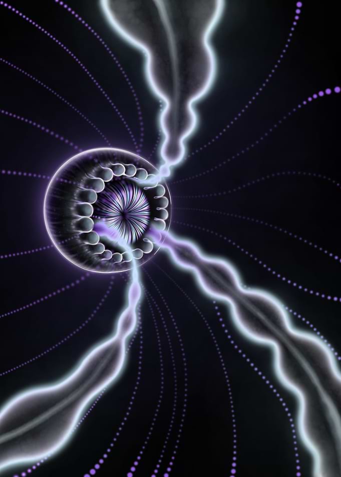 Fleeting Jellyfish