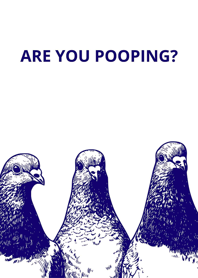 Pigeon Pooping Meme