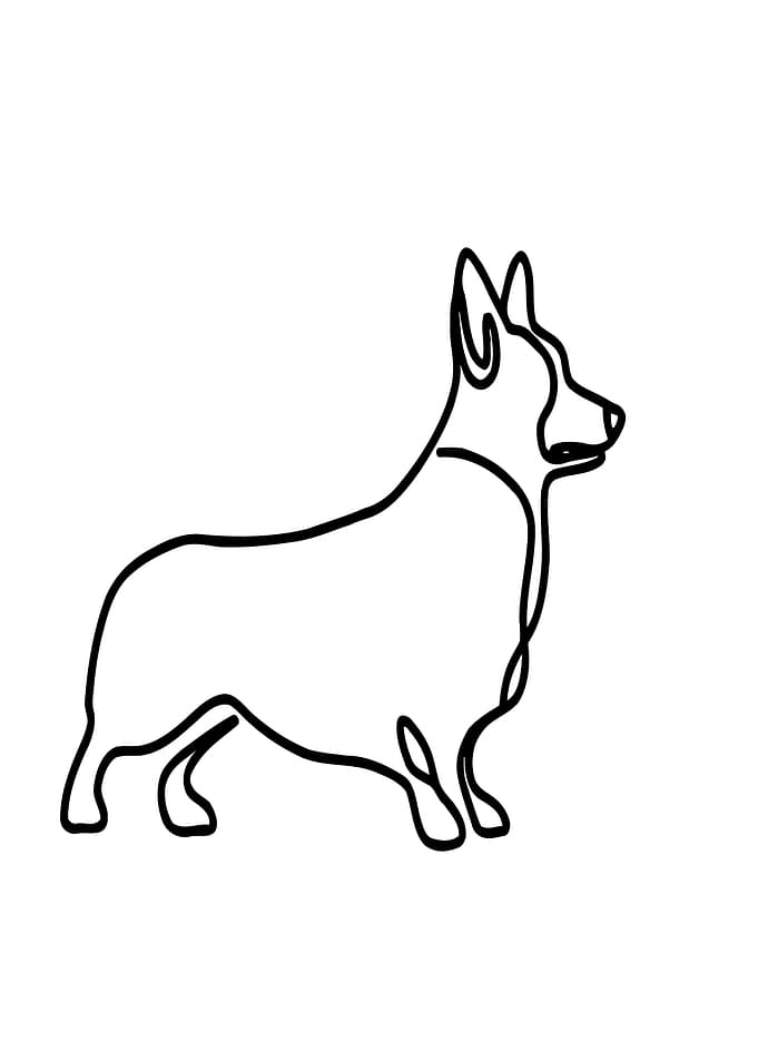 Corgi Line Art