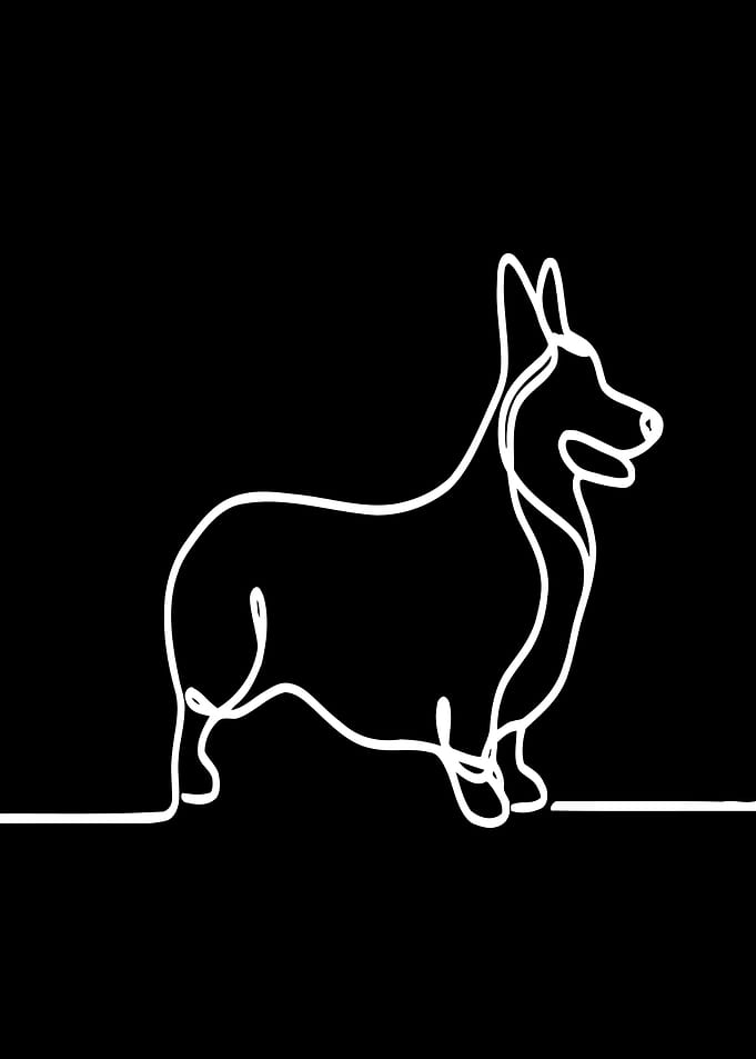 Corgi Line Art