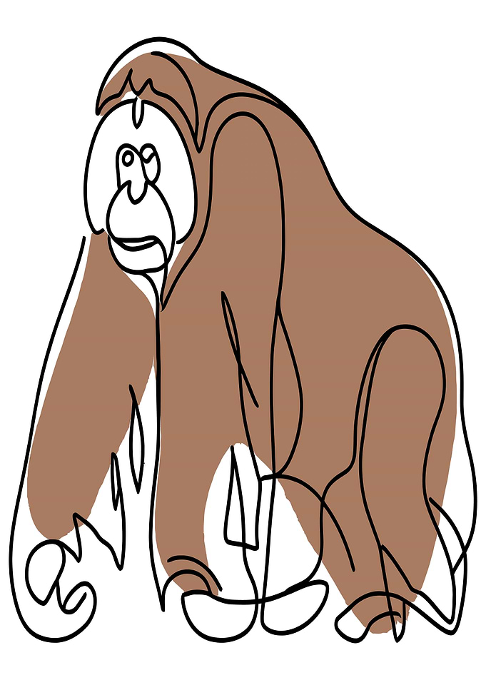 Orangutan Line Art