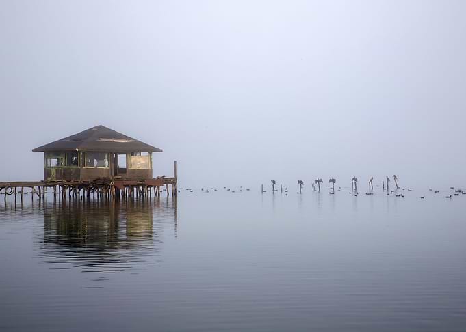 Foggy Lake House