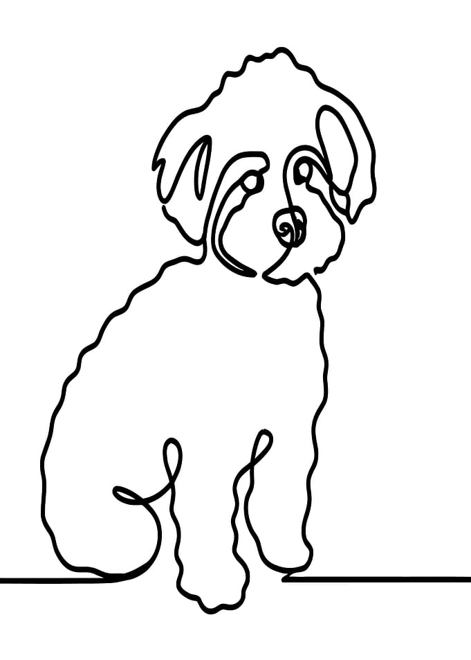 One Line Maltese Dog Illustration
