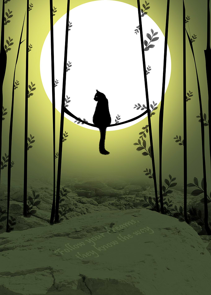 Black Cat Silhouette Moon