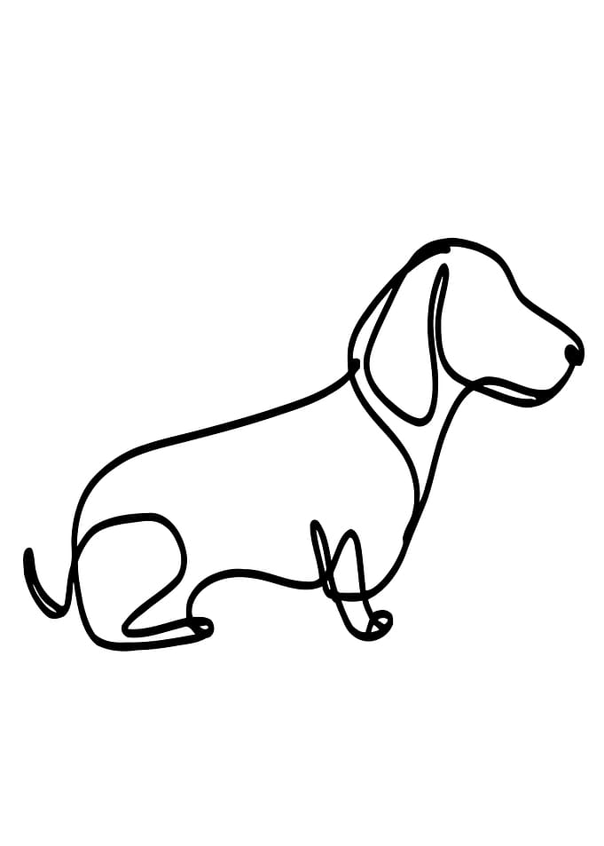 Dachshund Line Art
