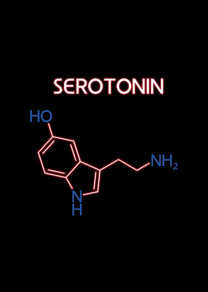 Serotonin Hormone