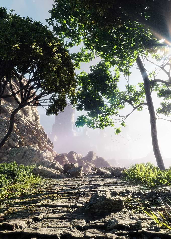 Stone Path Through Forest