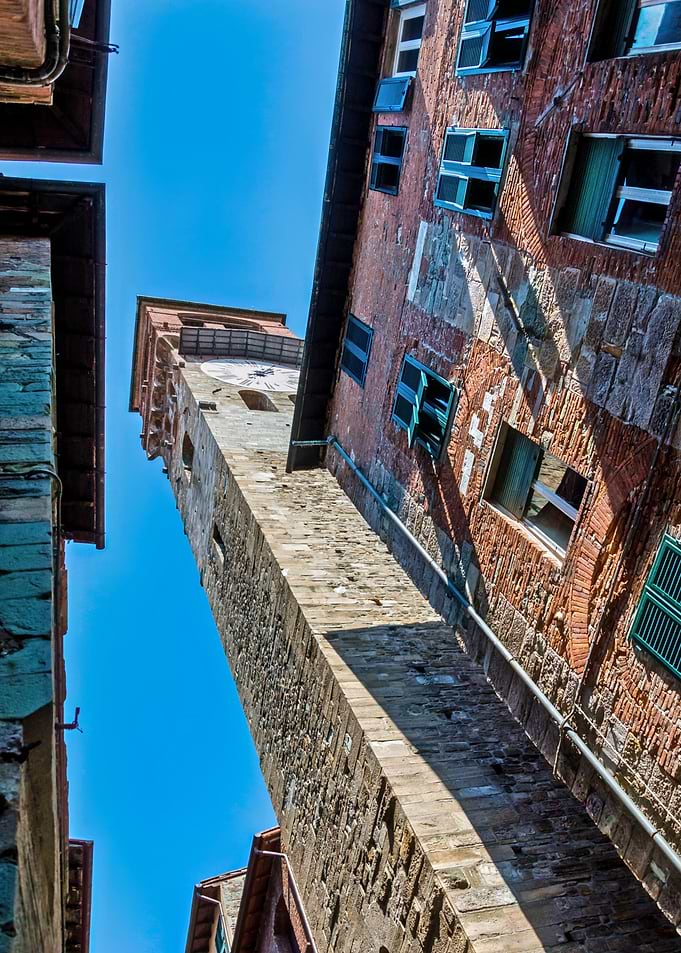 Lucca Guinigi Tower Tall Stone Tower in Italian City