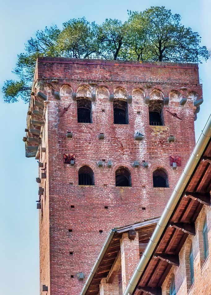 Lucca Guinigi Tower Tall Stone Tower in Italian City